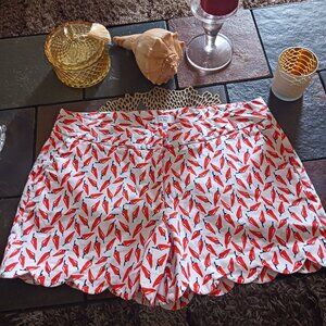 Spicy little shorts, size 12